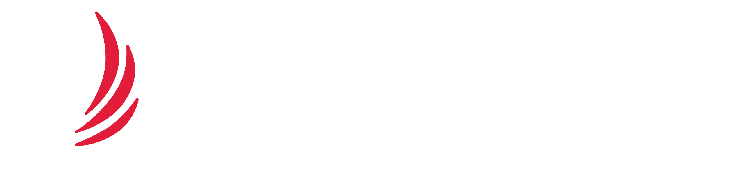 FirmGuard Logo