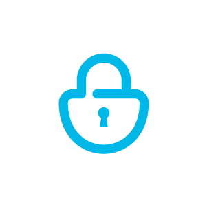 firmguard secure lock icon