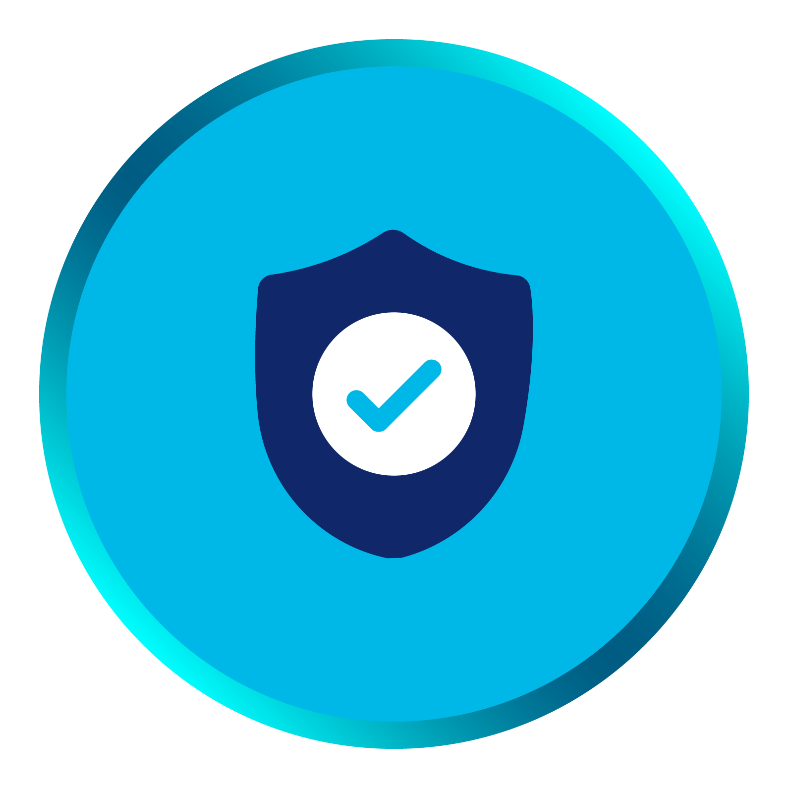 data sanitization icon